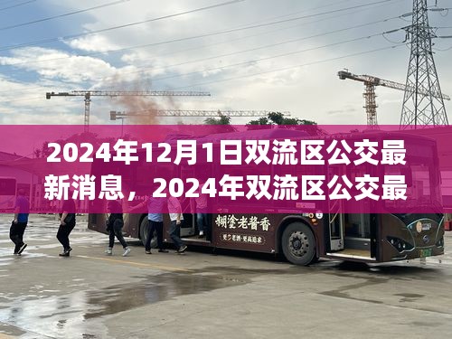 2024年双流区公交最新消息详解，获取与使用公交服务的全面指南