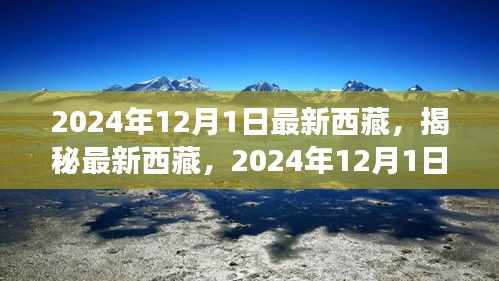 揭秘最新西藏，2024年西藏之旅的精彩瞬间（独家报道）