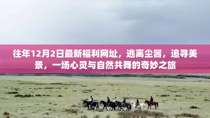 心灵与自然共舞，逃离尘嚣的奇妙之旅，最新福利网址揭秘