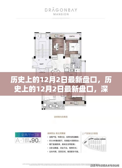 深度解析，历史上的12月2日最新盘口及其观点阐述