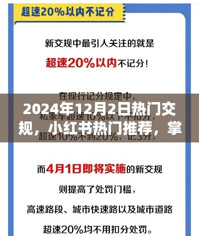 2024年交规新动态与热门推荐，小红书指南助你出行必备