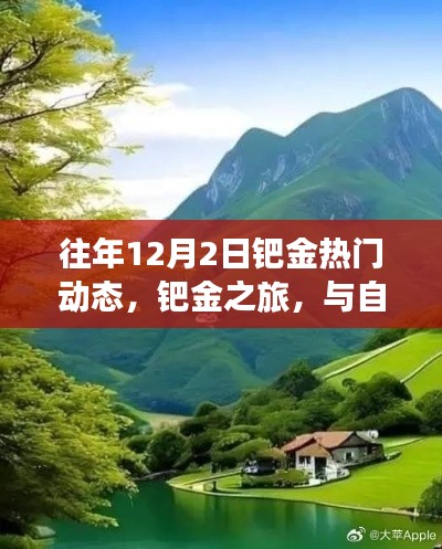 钯金之旅，与自然美景相遇，探寻内心宁静的热门动态回顾