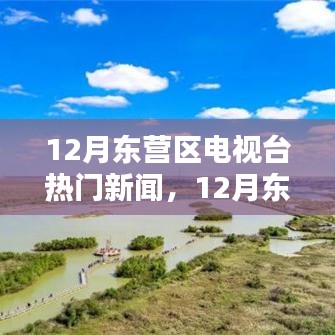 12月东营区电视台热门新闻及其解析