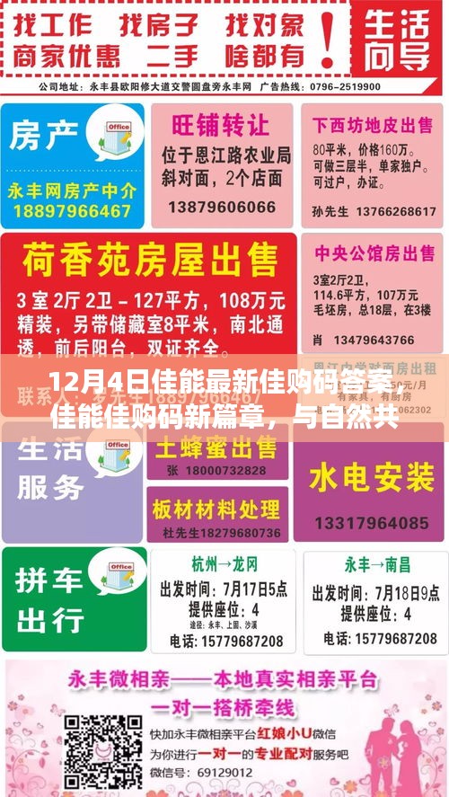 佳能佳购码新篇章揭秘，与自然共舞，探寻心灵宁静之地（12月4日最新答案）