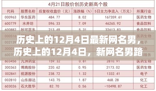 历史上的12月4日，新网名男的自然之旅与内心平静的奇妙冒险探索之路