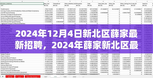 2024年新北区薛家最新招聘全攻略，适合初学者与进阶用户的应聘指南