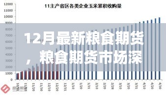 聚焦粮食期货市场深度洞察，十二月最新动态与市场趋势