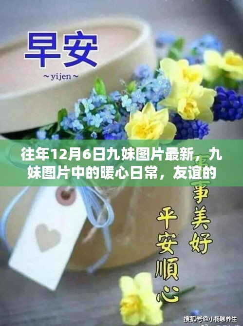 往年12月6日九妹图片回顾，暖心日常与友谊的温馨回忆