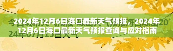 海口天气预报查询与应对指南，最新天气预报及查询服务（2024年12月6日）