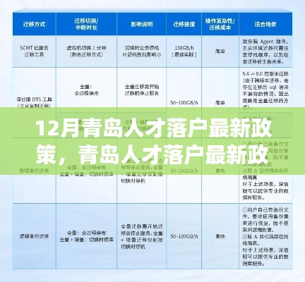 青岛人才落户最新政策解析，特性、体验、竞品对比及用户群体深度分析