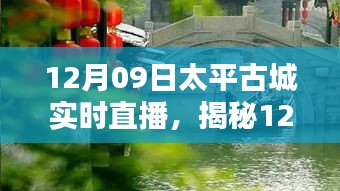 揭秘太平古城直播日，巷弄深处的独特小店与探秘之旅