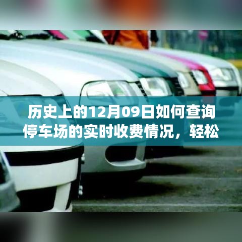 如何查询停车场实时收费情况？详细步骤指南（历史上的12月09日版）