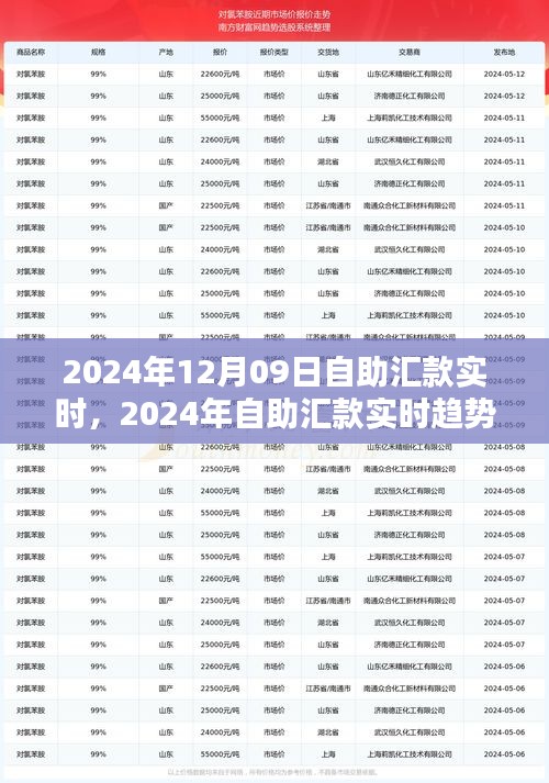 自助汇款实时趋势下的金融革新，机遇与挑战并存（2024年12月09日）