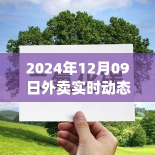 全面解析，小米外卖实时动态系统——未来外卖新宠的秘籍揭晓