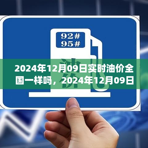 全国油价实时动态，2024年12月09日油价查询与应对策略指南