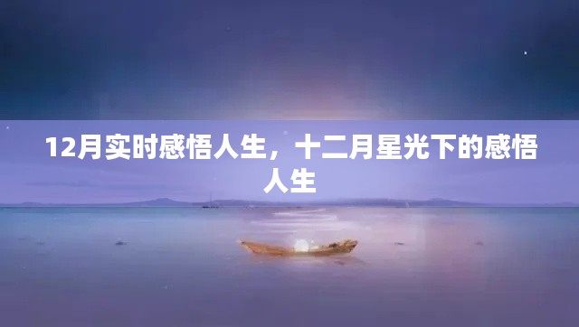 十二月星光下的实时人生感悟