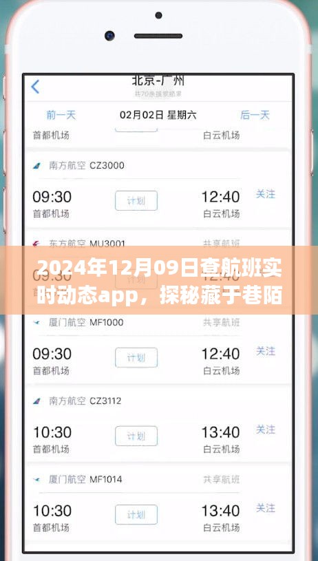 探秘航班实时动态小天地，2024年12月9日的奇妙航班查询之旅