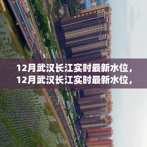 关注长江动态，武汉长江实时最新水位报告