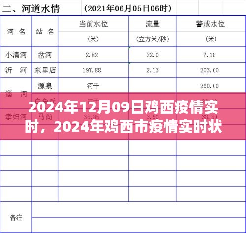 2024年鸡西市疫情实时状况深度解析与观点阐述