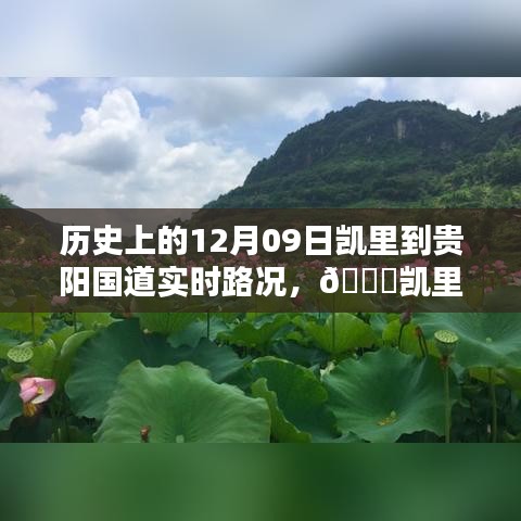 🚗凯里至贵阳国道实时路况回顾与数字化转型体验之路