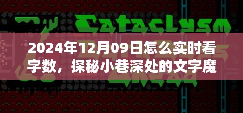 探秘小巷深处的文字魔法屋，如何在特定日期实时查看字数技巧揭秘（2024年12月09日）