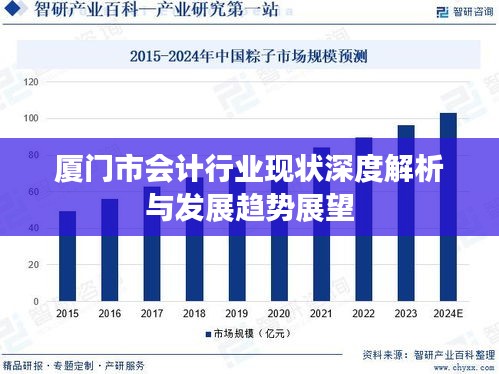 厦门市会计行业现状深度解析与发展趋势展望