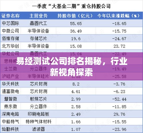 易经测试公司排名揭秘，行业新视角探索