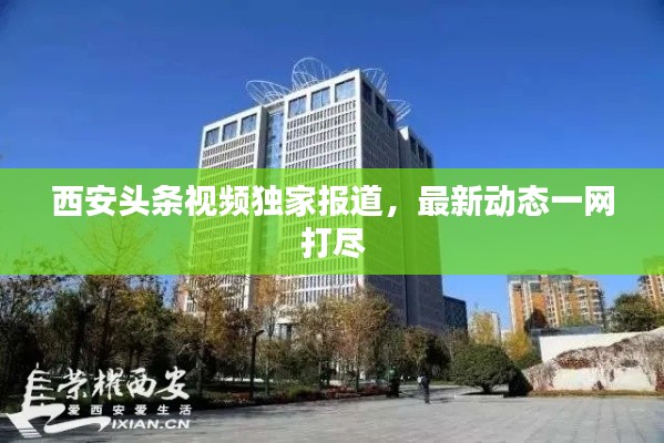 西安头条视频独家报道，最新动态一网打尽