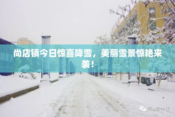 尚店镇今日惊喜降雪，美丽雪景惊艳来袭！