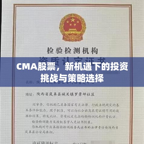 CMA股票，新机遇下的投资挑战与策略选择