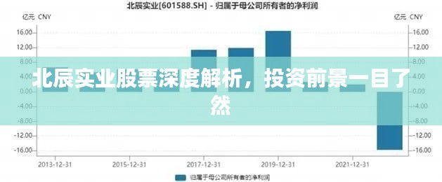 北辰实业股票深度解析，投资前景一目了然