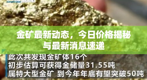 金矿最新动态，今日价格揭秘与最新消息速递