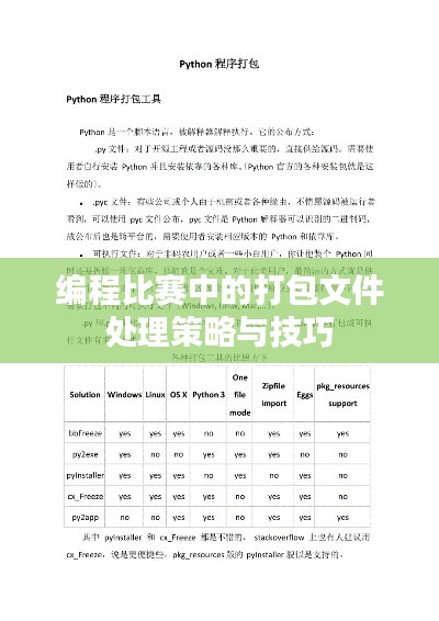 编程比赛中的打包文件处理策略与技巧