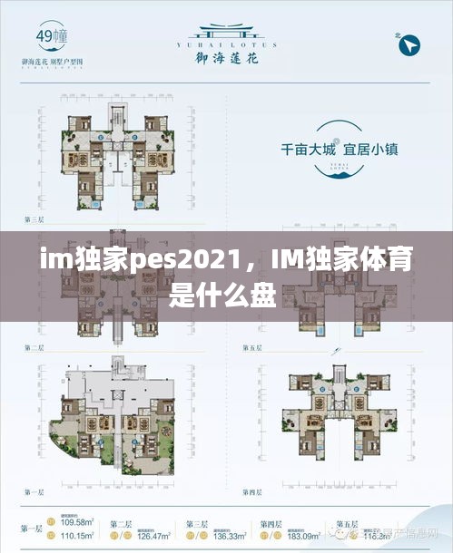 im独家pes2021，IM独家体育是什么盘 