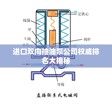 进口双向抽油泵公司权威排名大揭秘