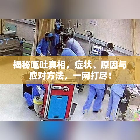 揭秘呕吐真相，症状、原因与应对方法，一网打尽！