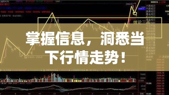 掌握信息，洞悉当下行情走势！