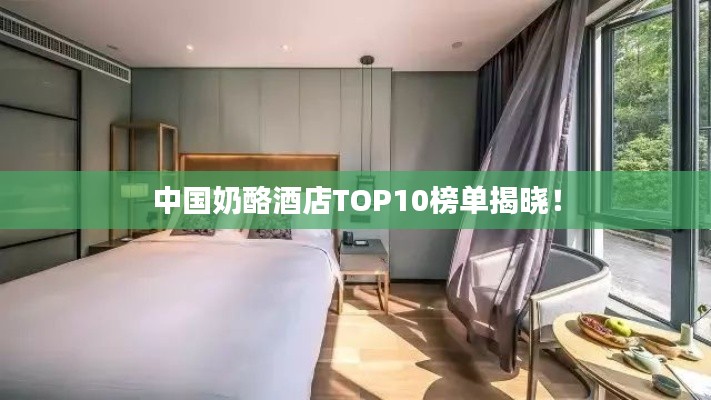 中国奶酪酒店TOP10榜单揭晓！