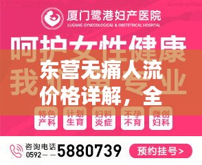 东营无痛人流价格详解，全面解析与比较