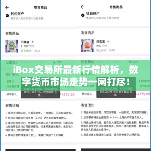 iBox交易所最新行情解析，数字货币市场走势一网打尽！