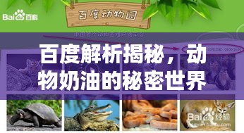 百度解析揭秘，动物奶油的秘密世界！