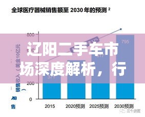 辽阳二手车市场深度解析，行情、趋势与前景展望