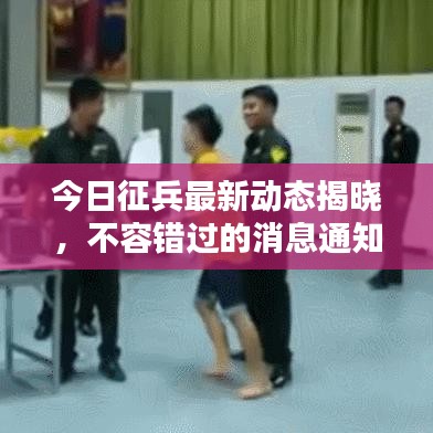 今日征兵最新动态揭晓，不容错过的消息通知！