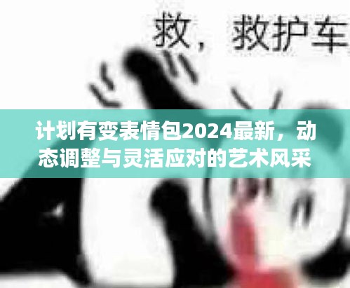 计划有变表情包2024最新，动态调整与灵活应对的艺术风采