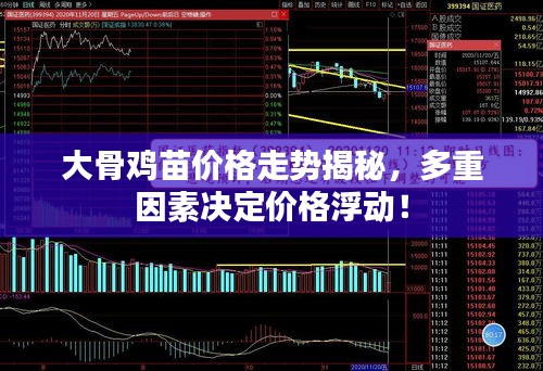 大骨鸡苗价格走势揭秘，多重因素决定价格浮动！