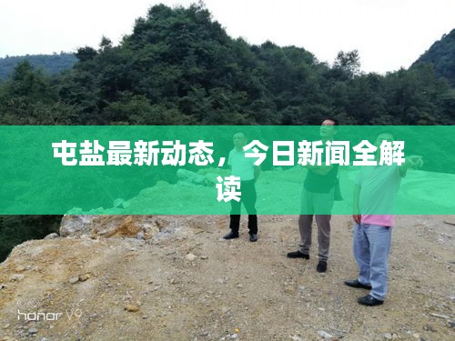 屯盐最新动态，今日新闻全解读