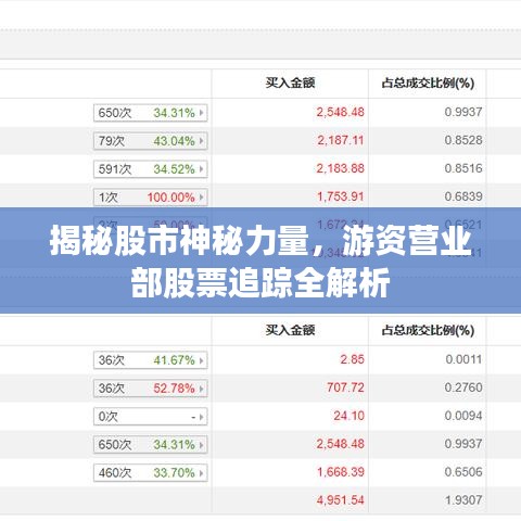 揭秘股市神秘力量，游资营业部股票追踪全解析